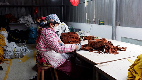 Leather Sorting